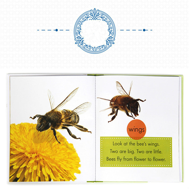 Children's popular science English primer