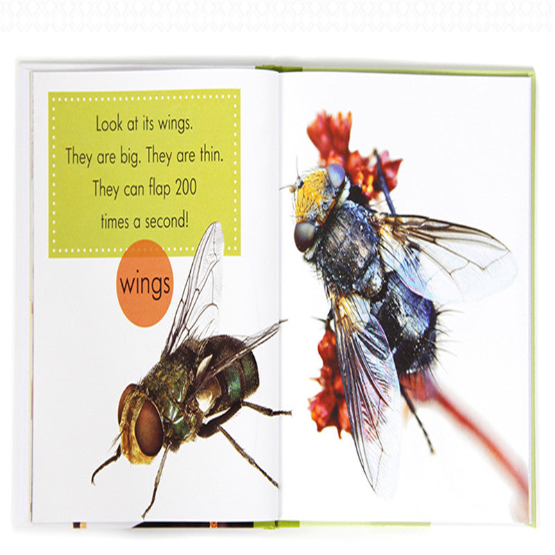 Children's popular science English primer