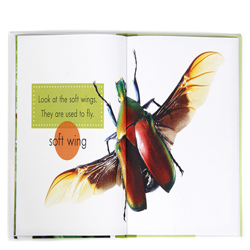 Children's popular science English primer