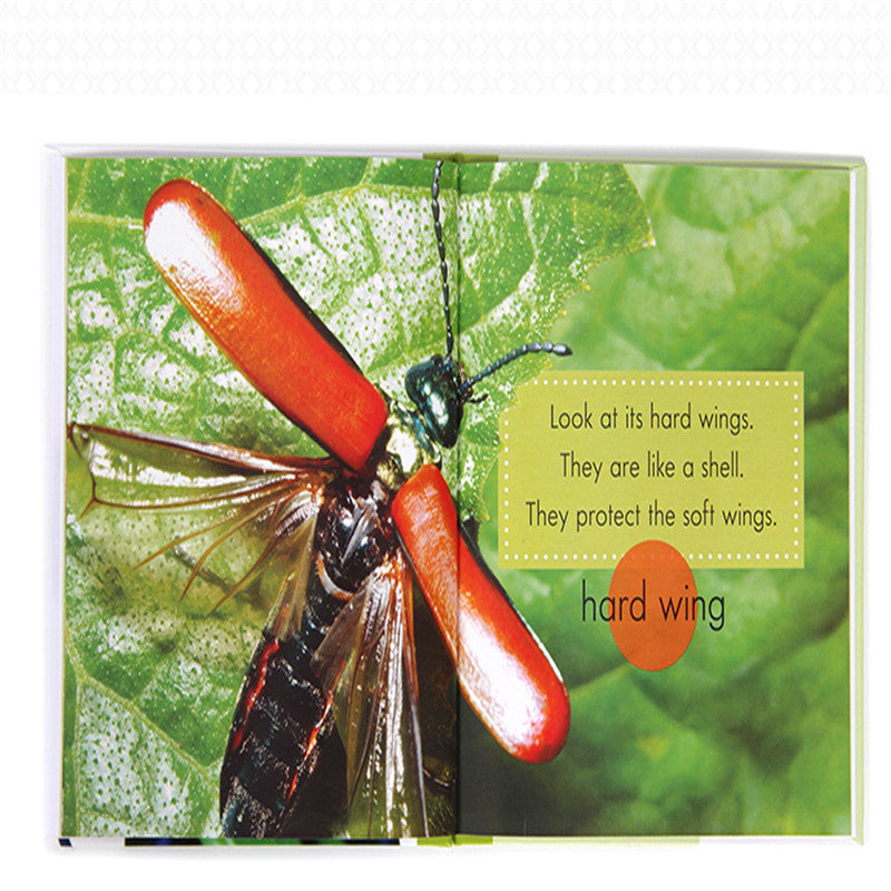 Children's popular science English primer